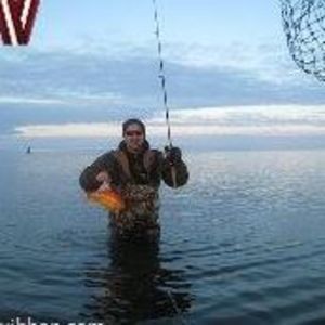 Meet your Posher, Andy